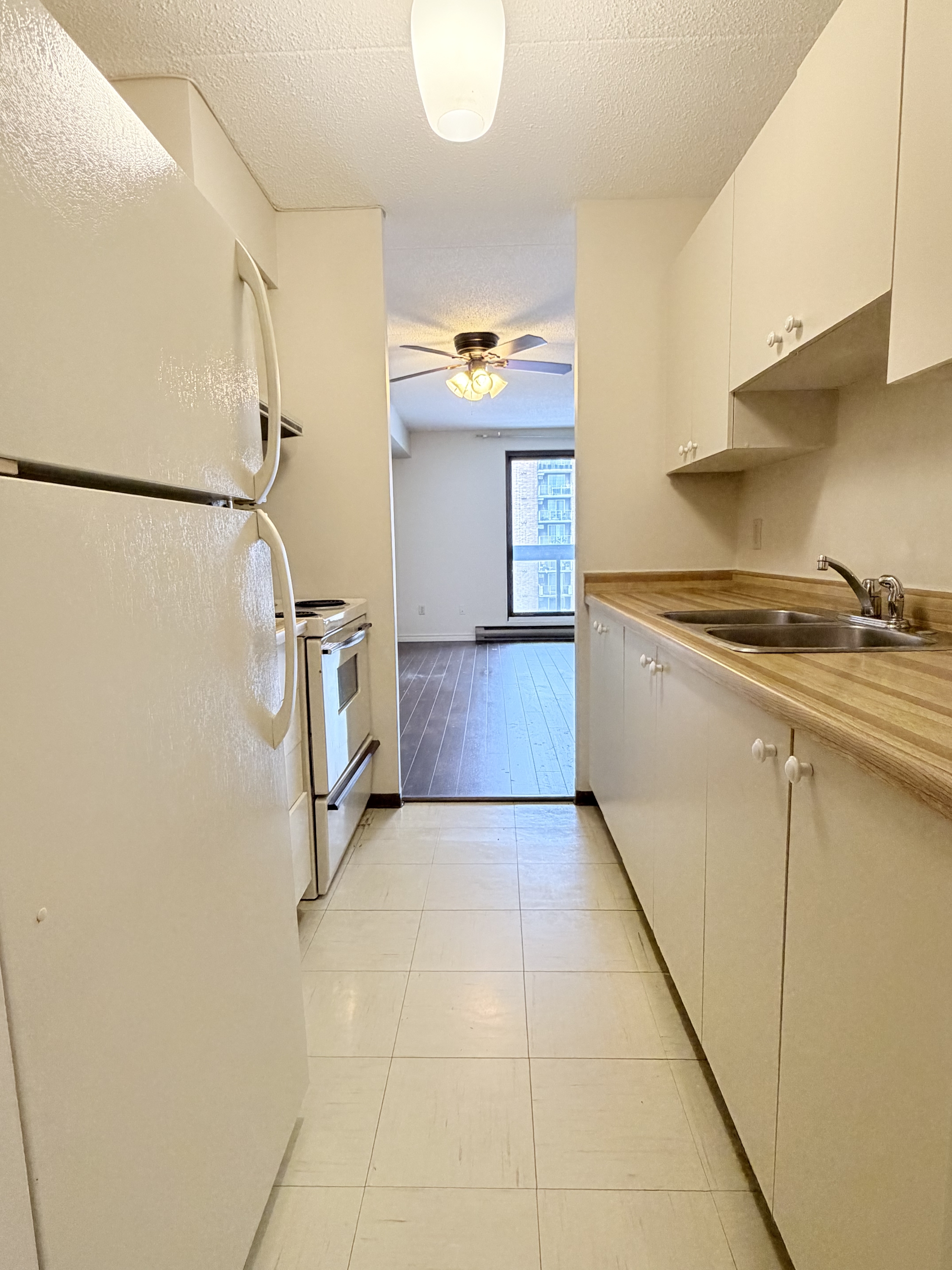 Windsor Condo: 1653 Ouellette Ave