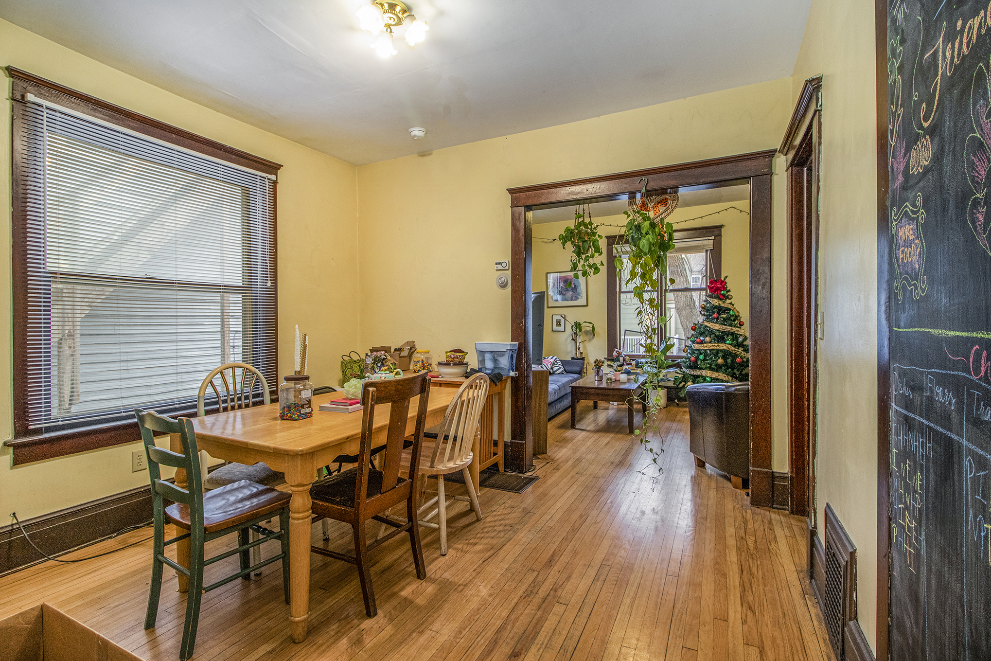 Ann Arbor House: 407 hamilton