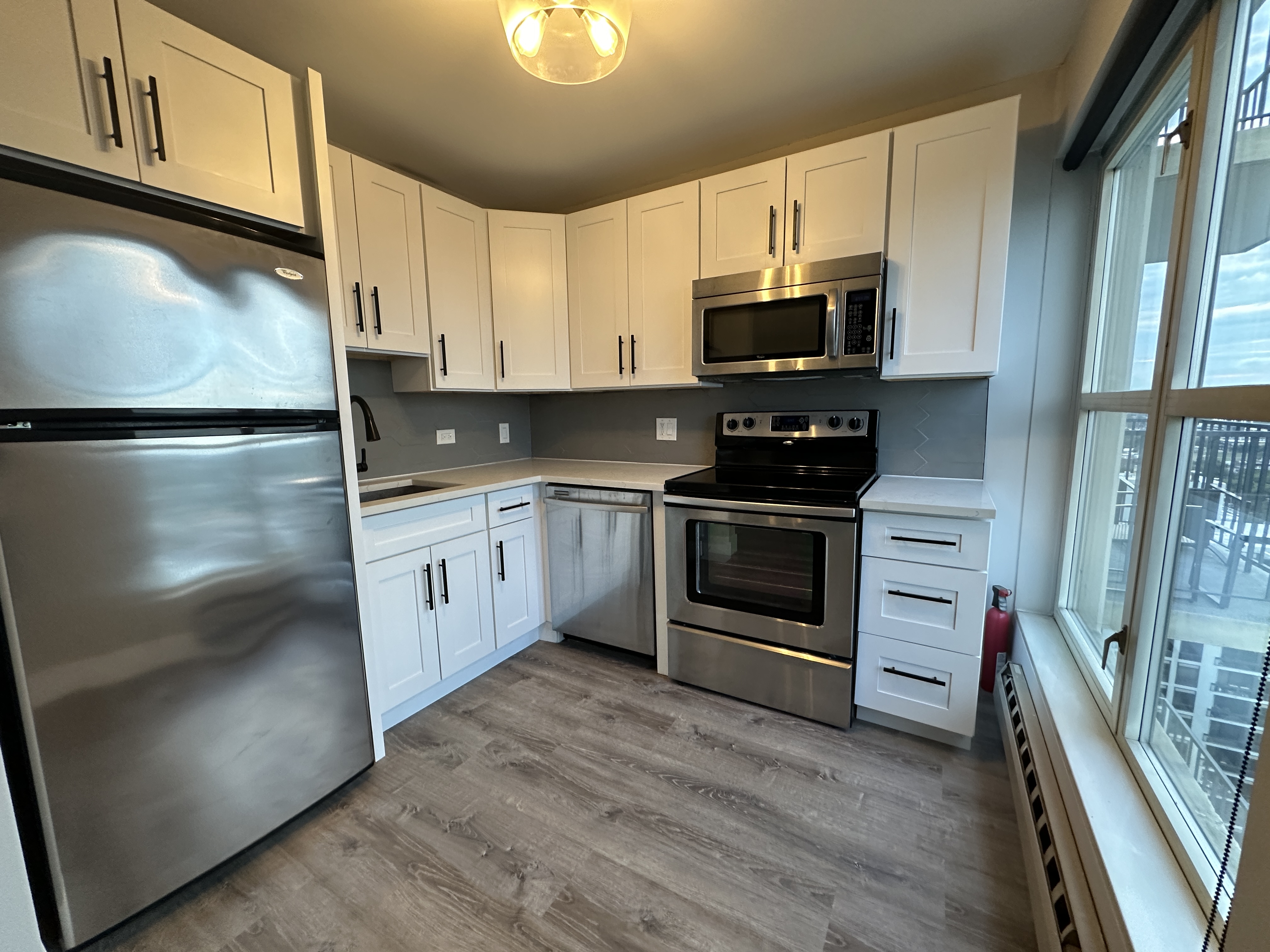 Chicago Condo: 1212 N LaSalle