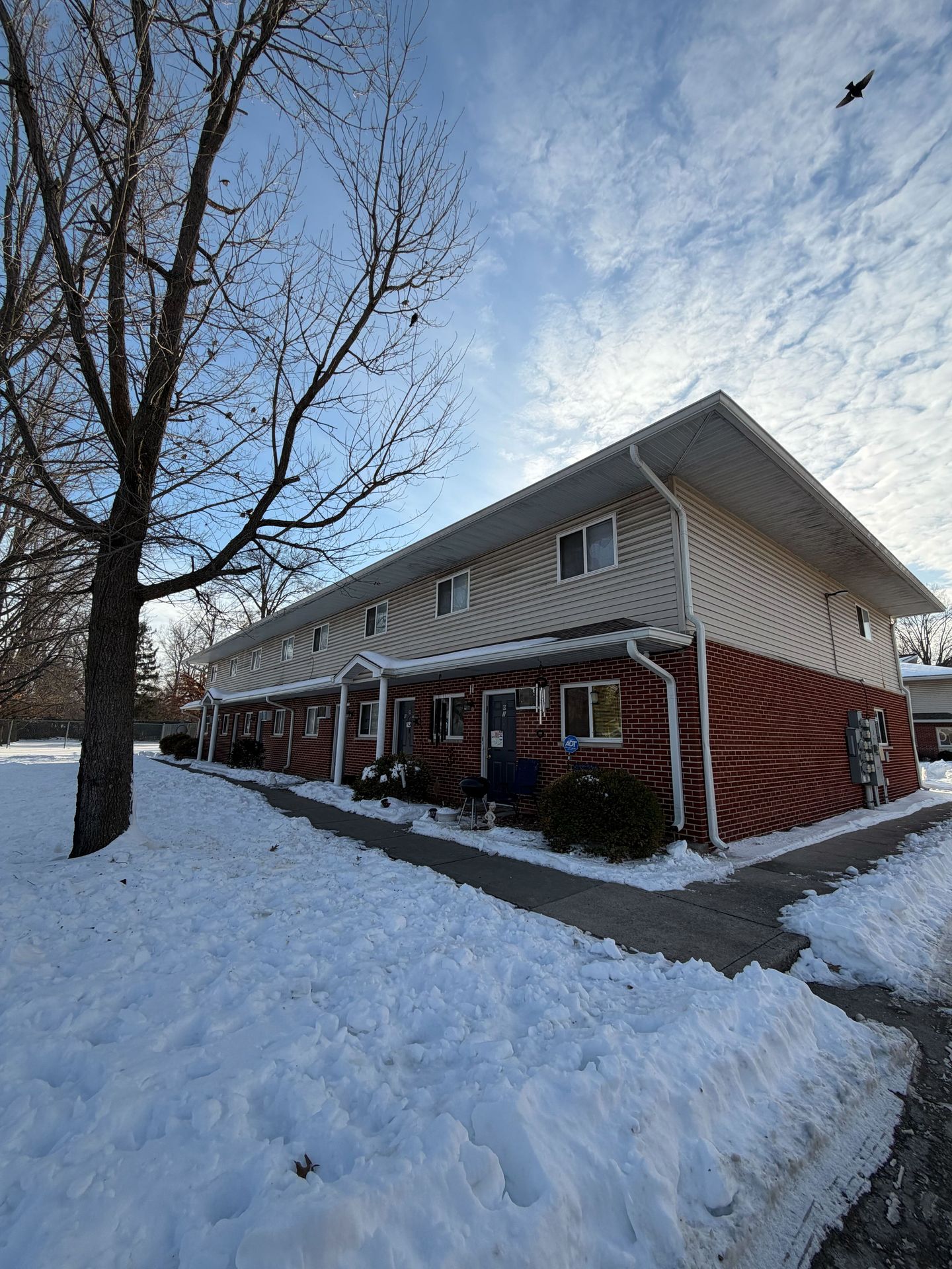 Carbondale Apartment: 250 Lewis Ln