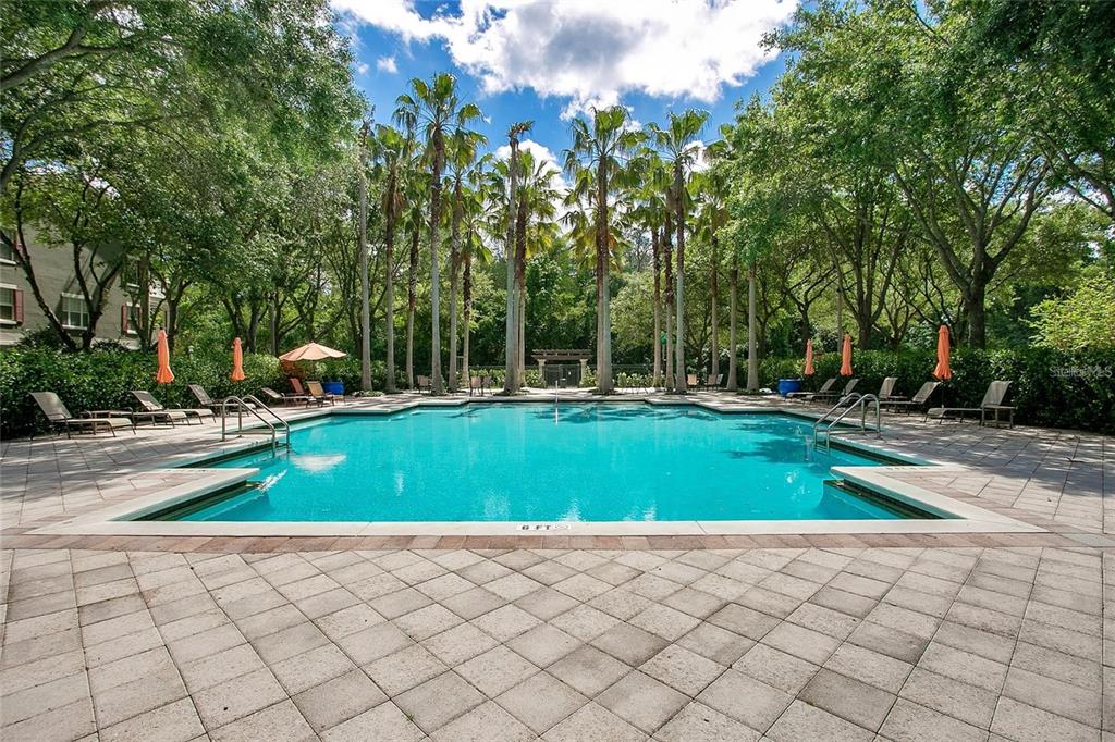 Celebration Condo: 710 Siena Palm Drive