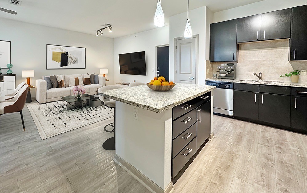 Houston Condo: 306 McGowen Street