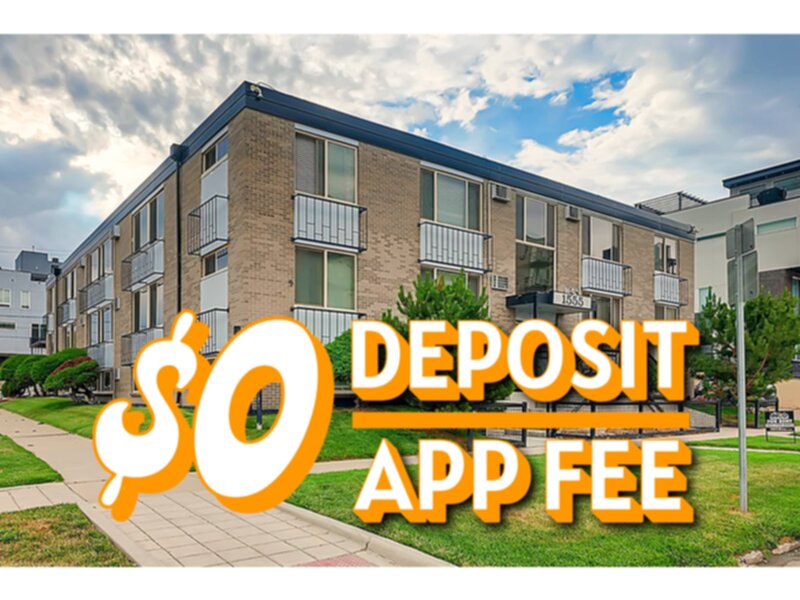 Denver Condo: 1555 Grove Street