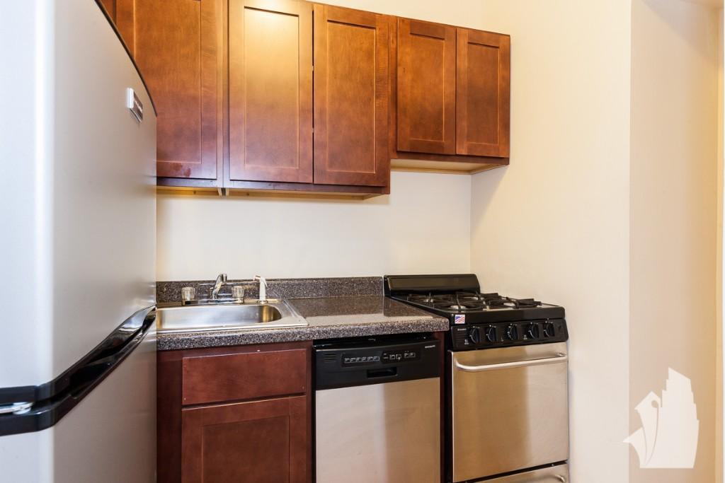 Chicago Condo: 1164 North Dearborn