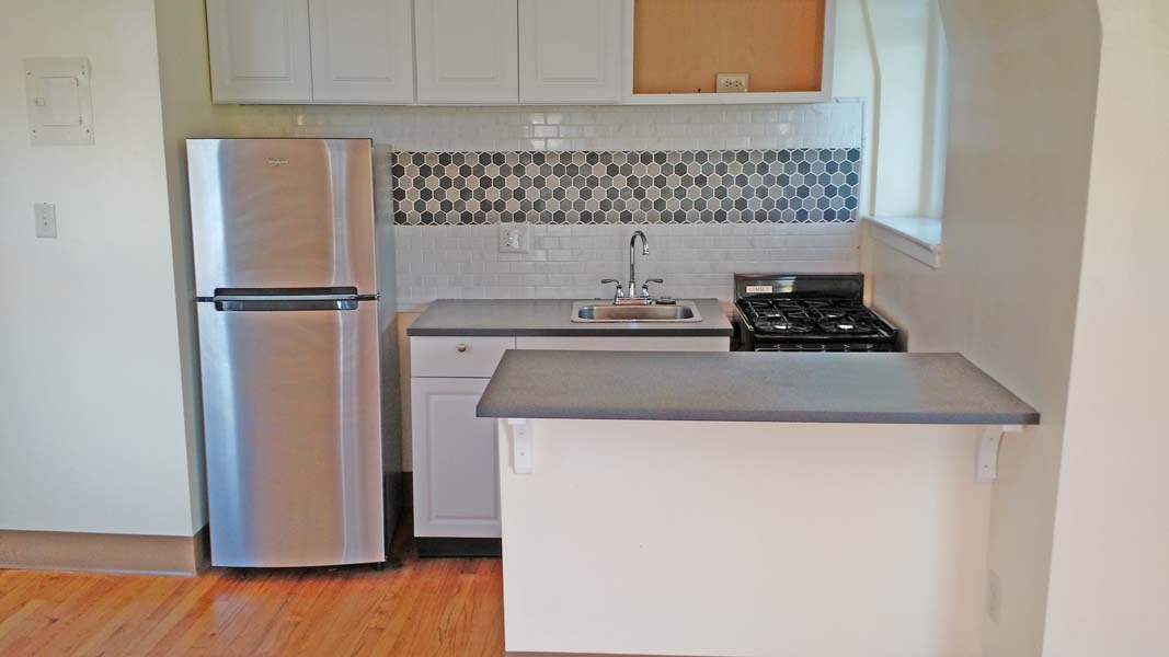 Washington Condo: 821 N Carolina Ave SE