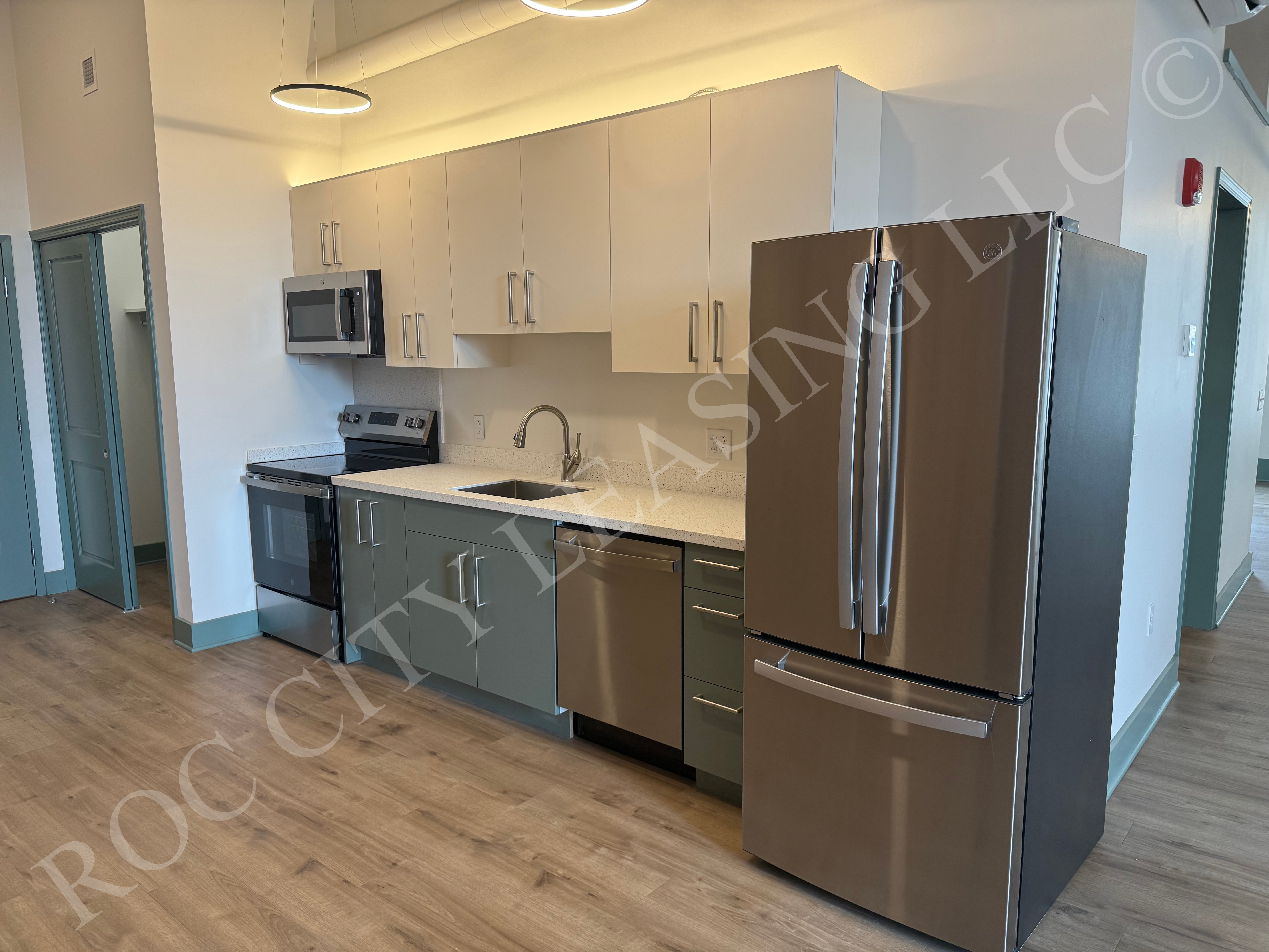 Rochester Condo: 151 Saint Paul Street