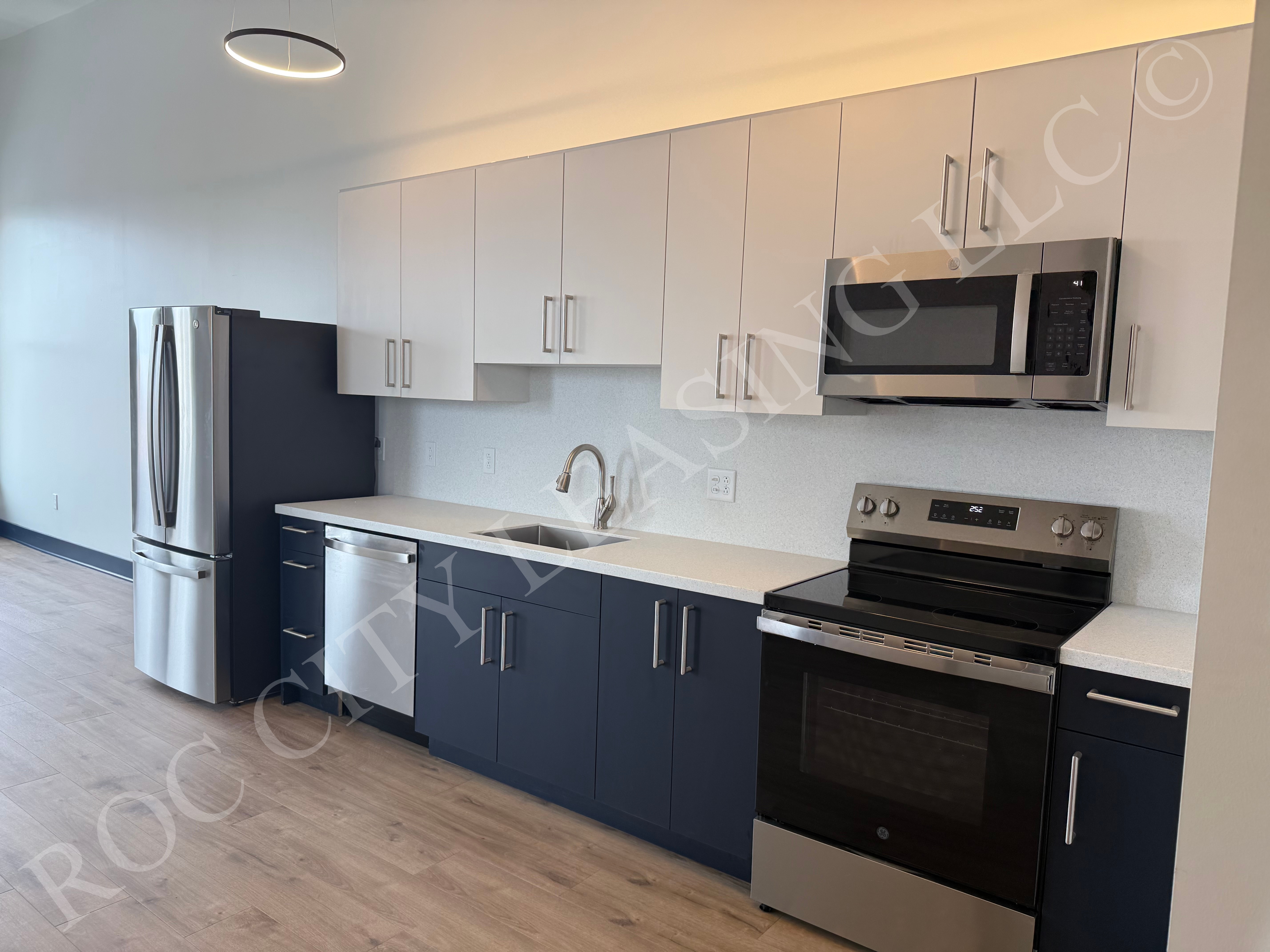 Rochester Condo: 151 Saint Paul Street