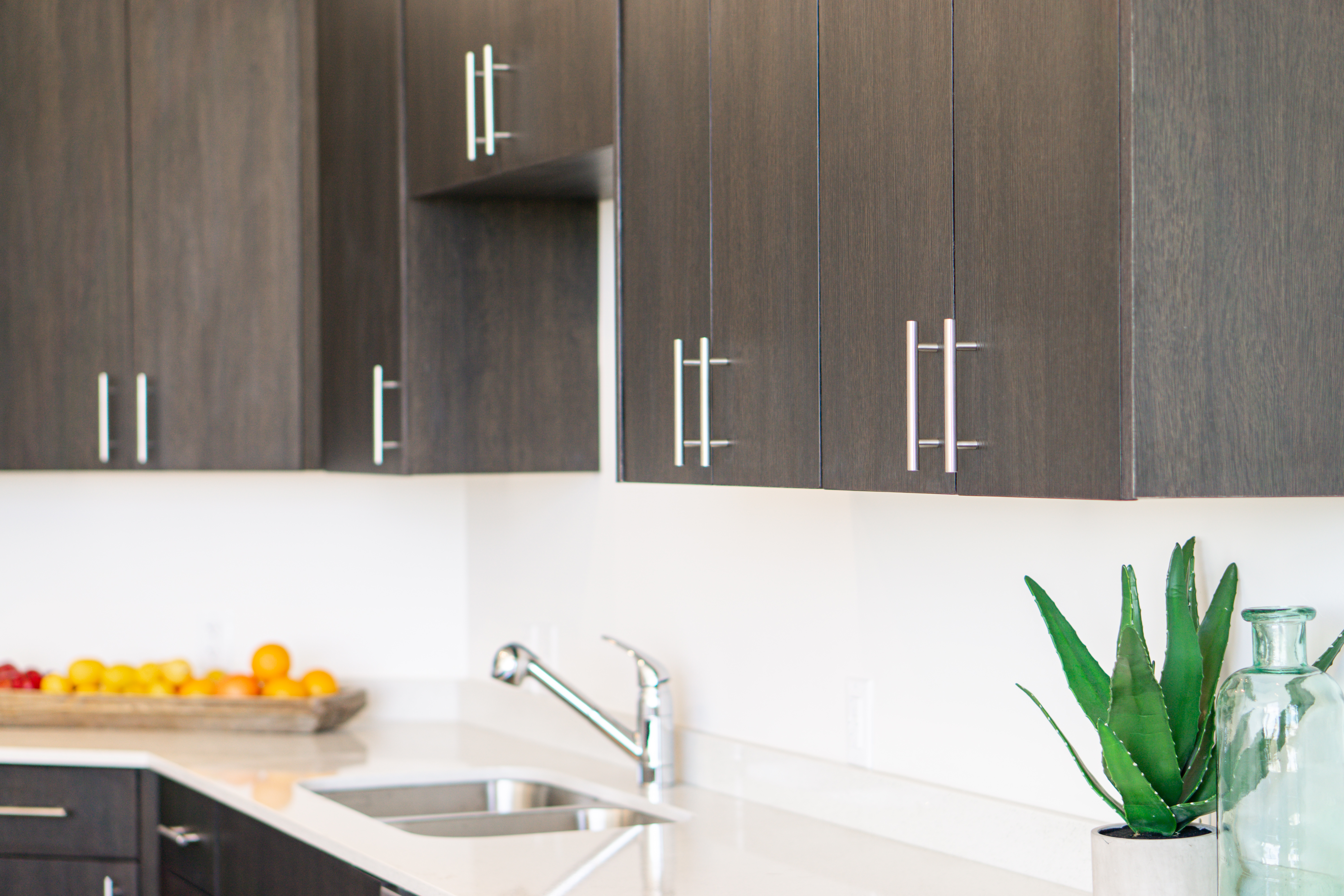 Salt Lake City Apartment: 365 W Reed Ave