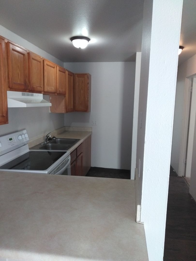 Colorado Springs Apartment: 1429 Potter Dr
