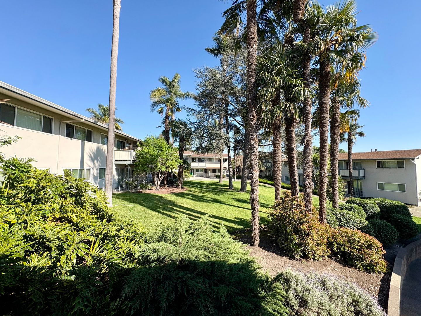 San Leandro Apartment: 1711 Tanager Ave