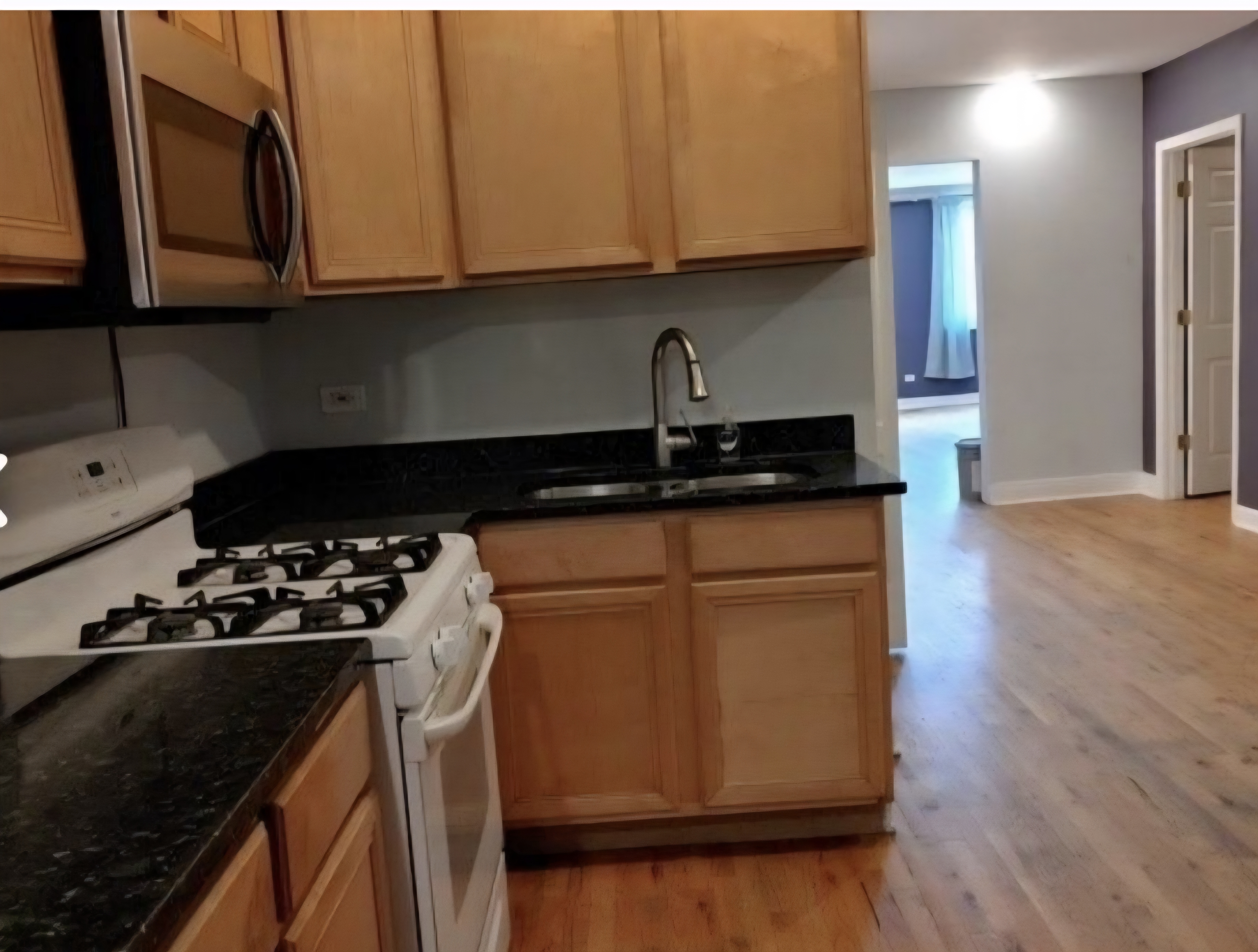 Chicago Condo: 1050 North Milwaukee
