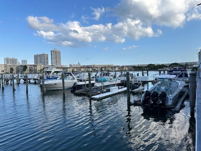 Aventura Condo: 18041 Biscayne Boulevard