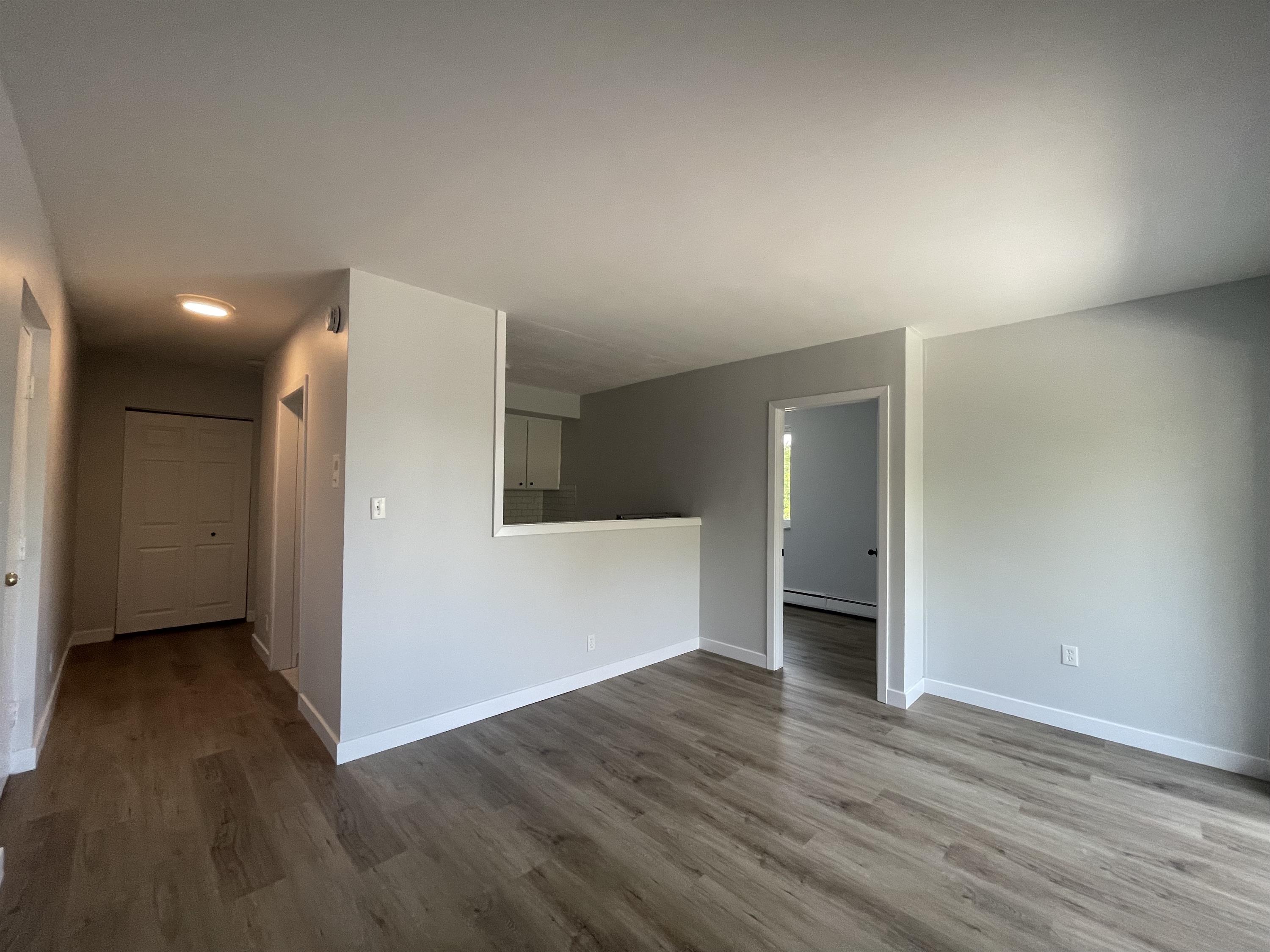 Windsor Condo: 315 Detroit St