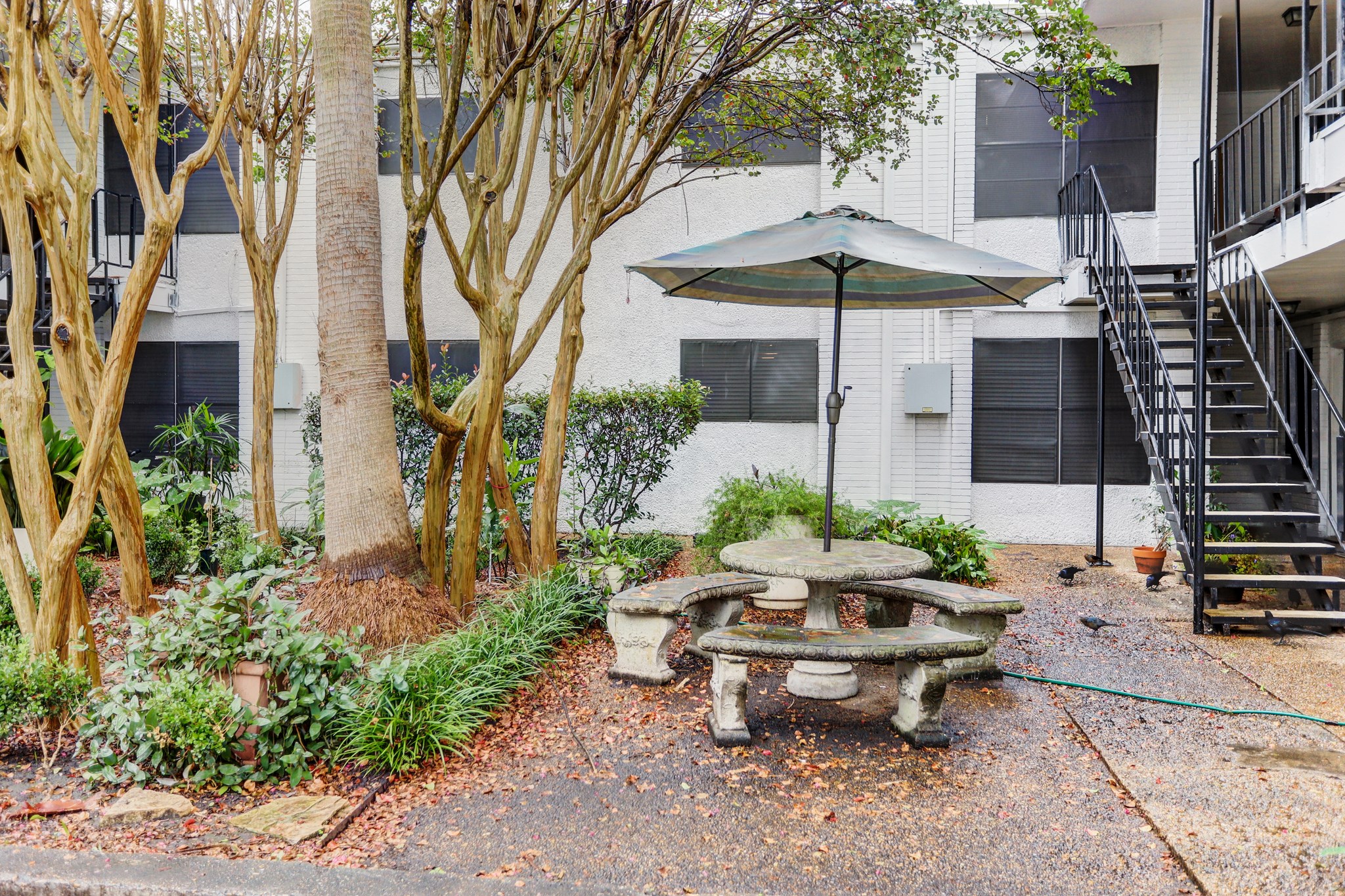 Houston Condo: 1645 West Main Street