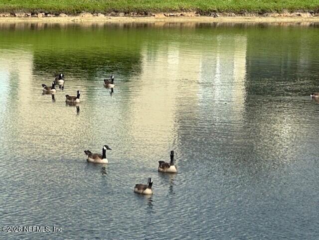 Fleming Island Condo: 1890 Copper Stone Drive