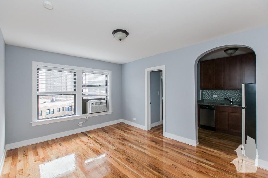 Chicago Condo: 550 West Arlington Place