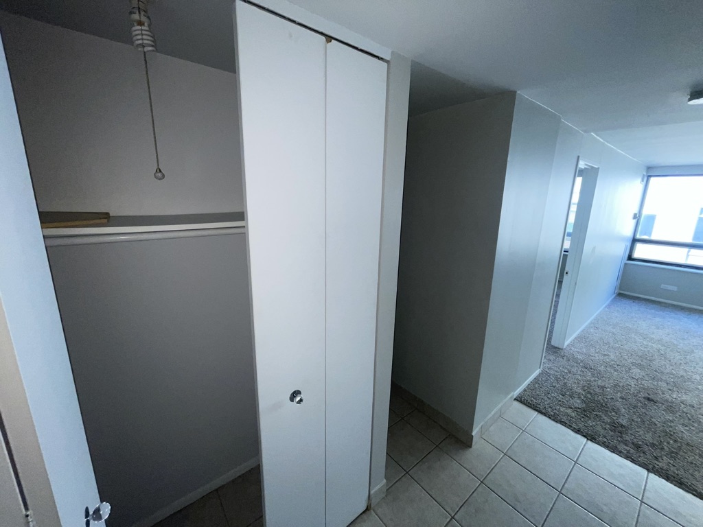 Chicago Condo: 233 East Erie