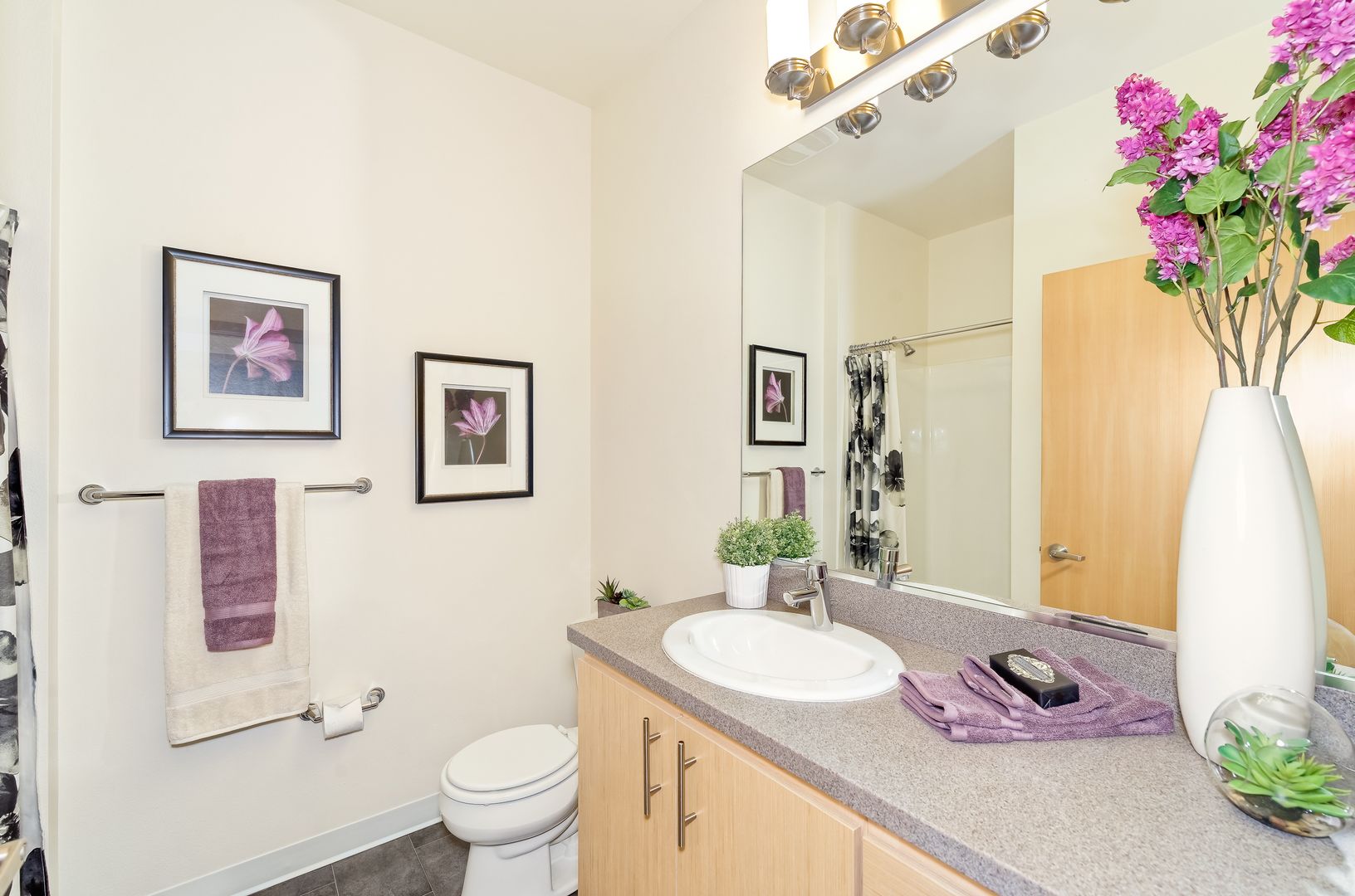 Seattle Apartment: 500 Belmont Ave E