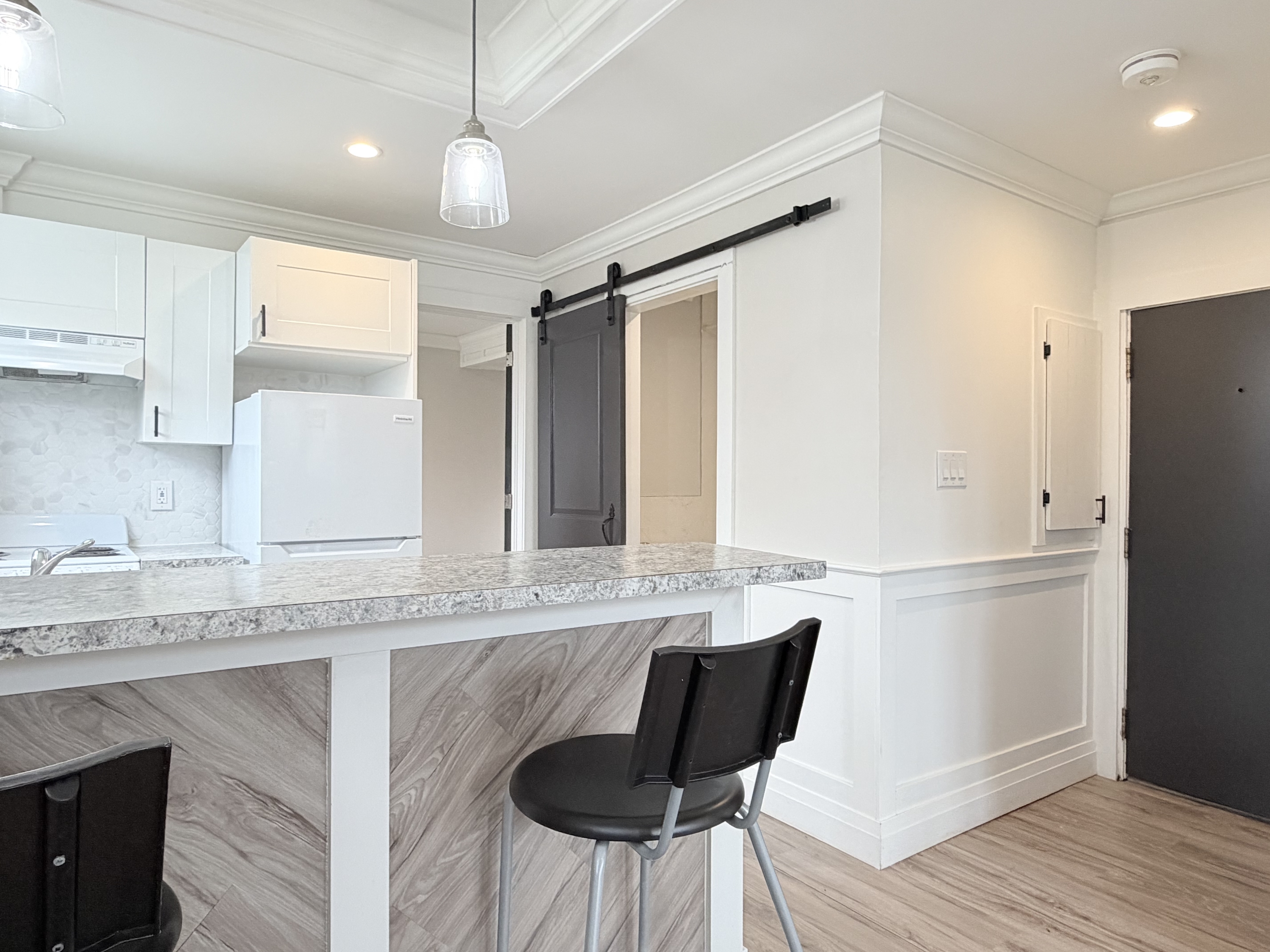 Windsor Condo: 1495 Gladstone Ave