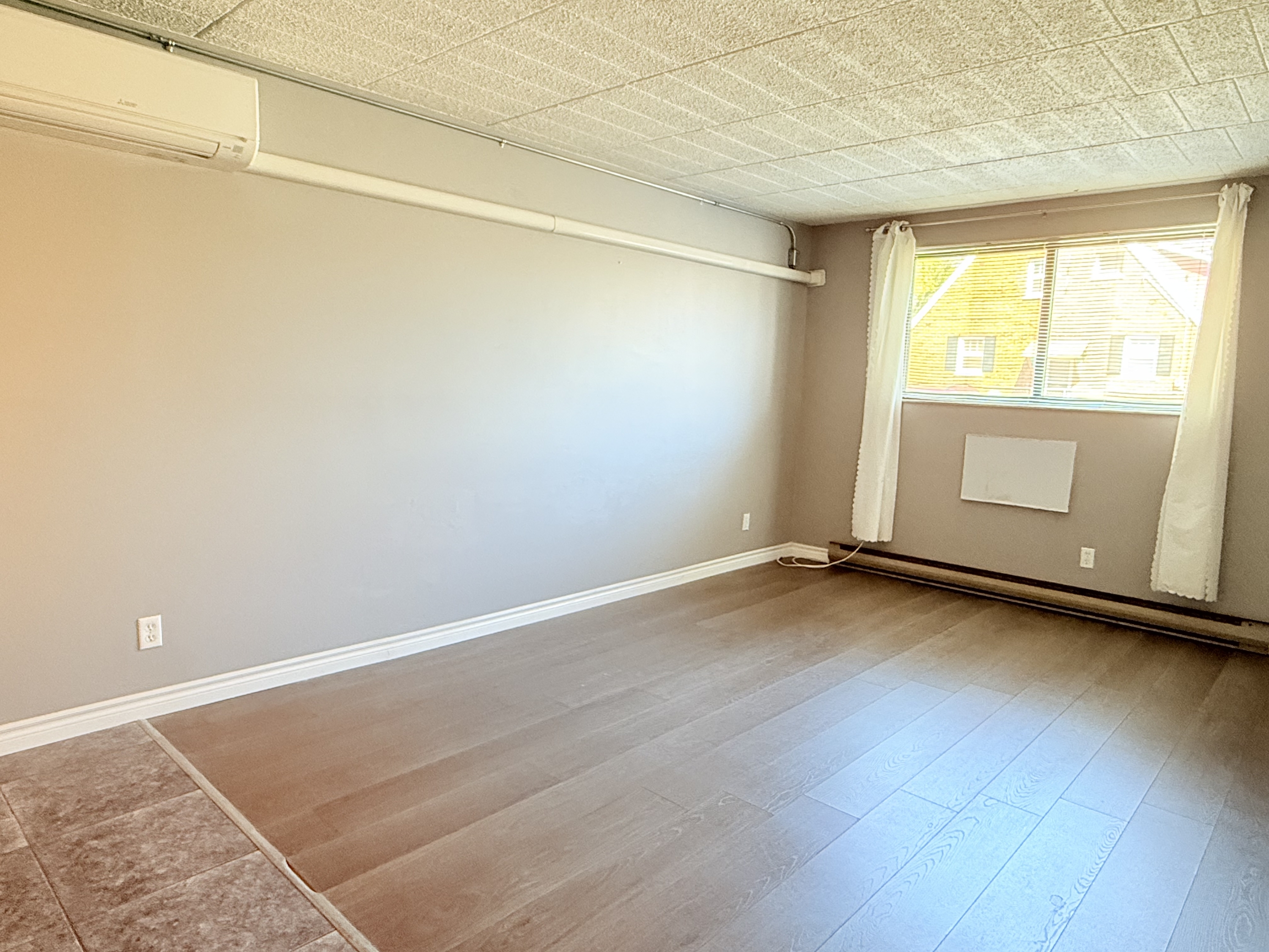 Windsor Condo: 360 Tecumseh Rd W