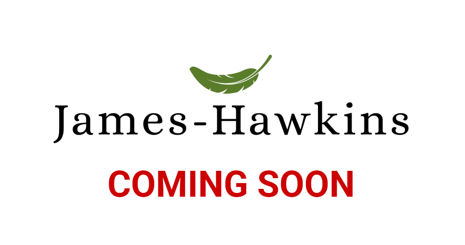 Montgomery House: 2405 Palmetto St