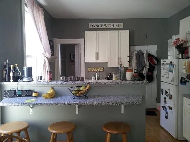 Chicago Condo: 2711 N Magnolia Ave