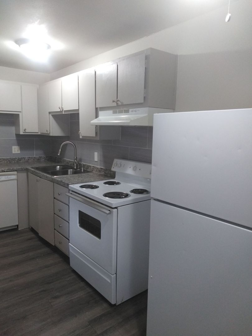 Colorado Springs Apartment: 1429 Potter Dr