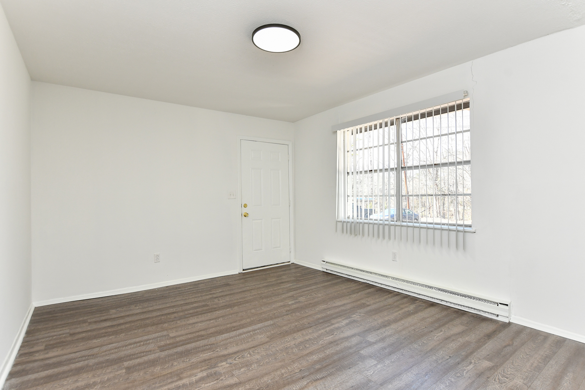 Greenville Condo: 409 Lily St