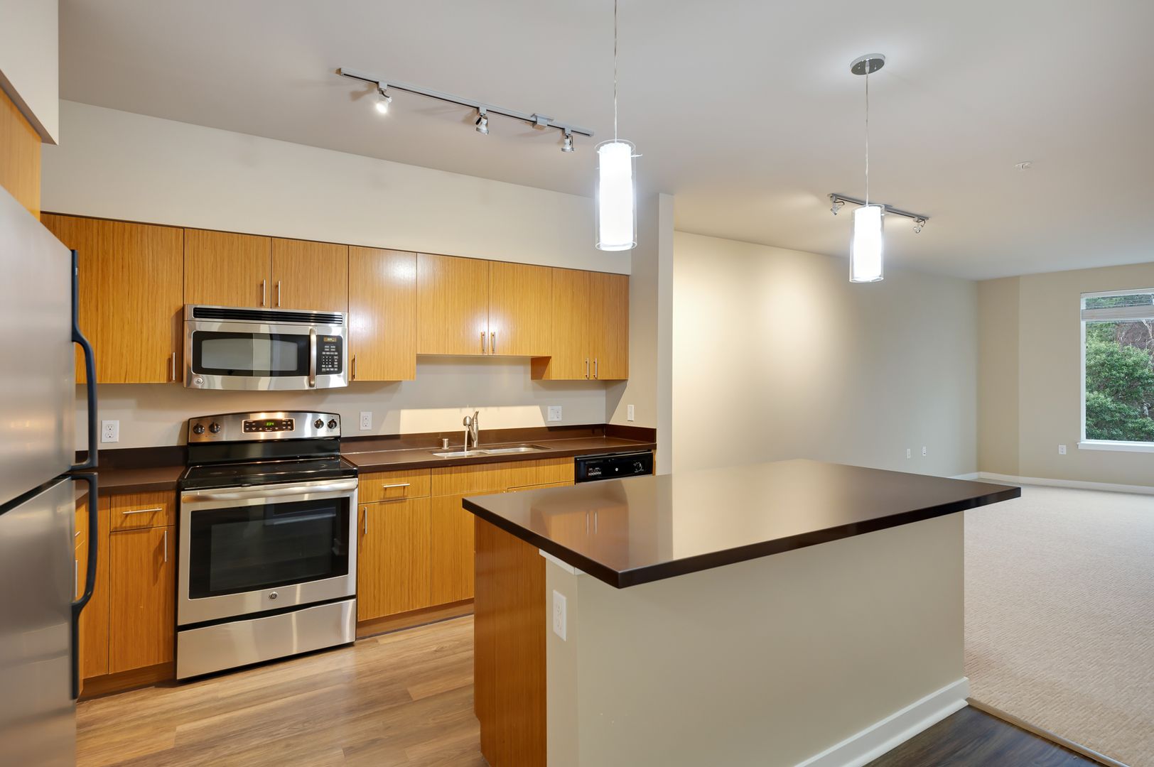 Kirkland Apartment: 11801 97th Ln