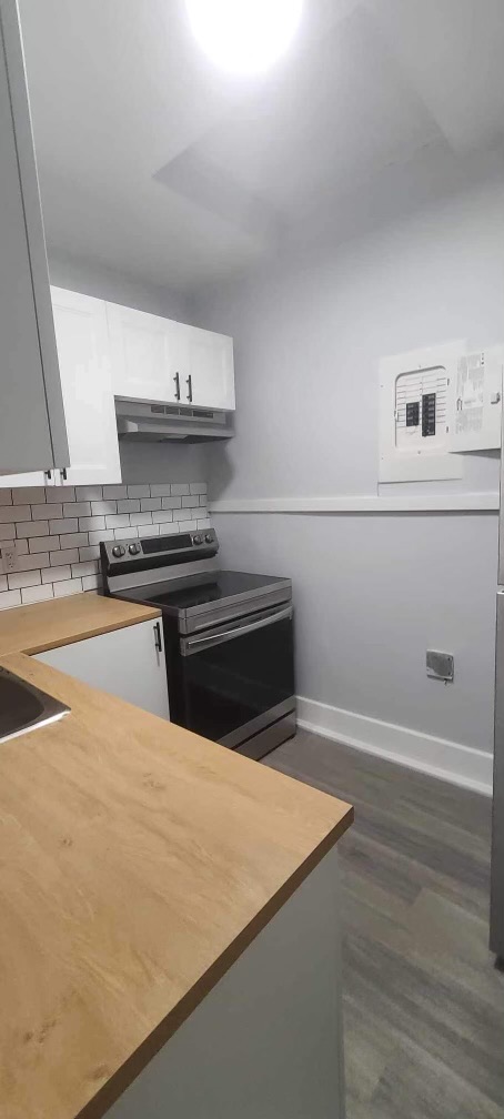 Windsor Condo: 1469 Ottawa St