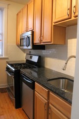 Chicago Condo: 910 West Waveland,