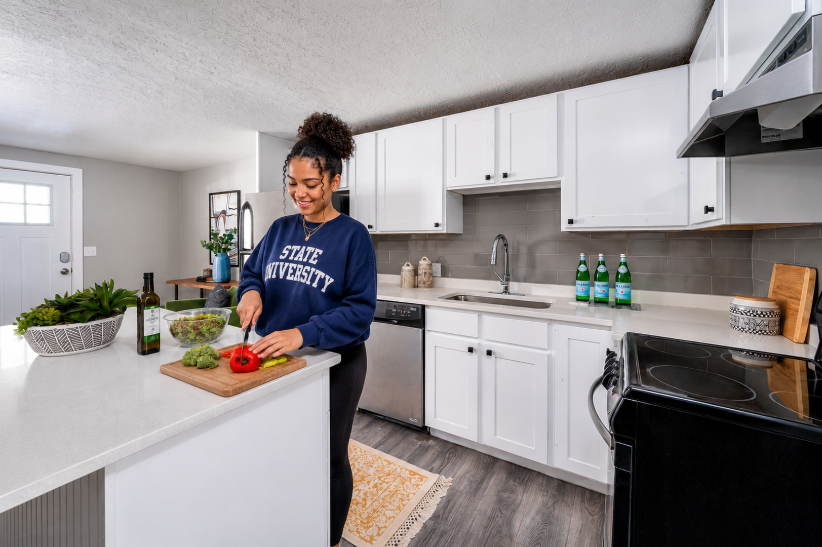 Salt Lake City Apartment: 720 N Wall St