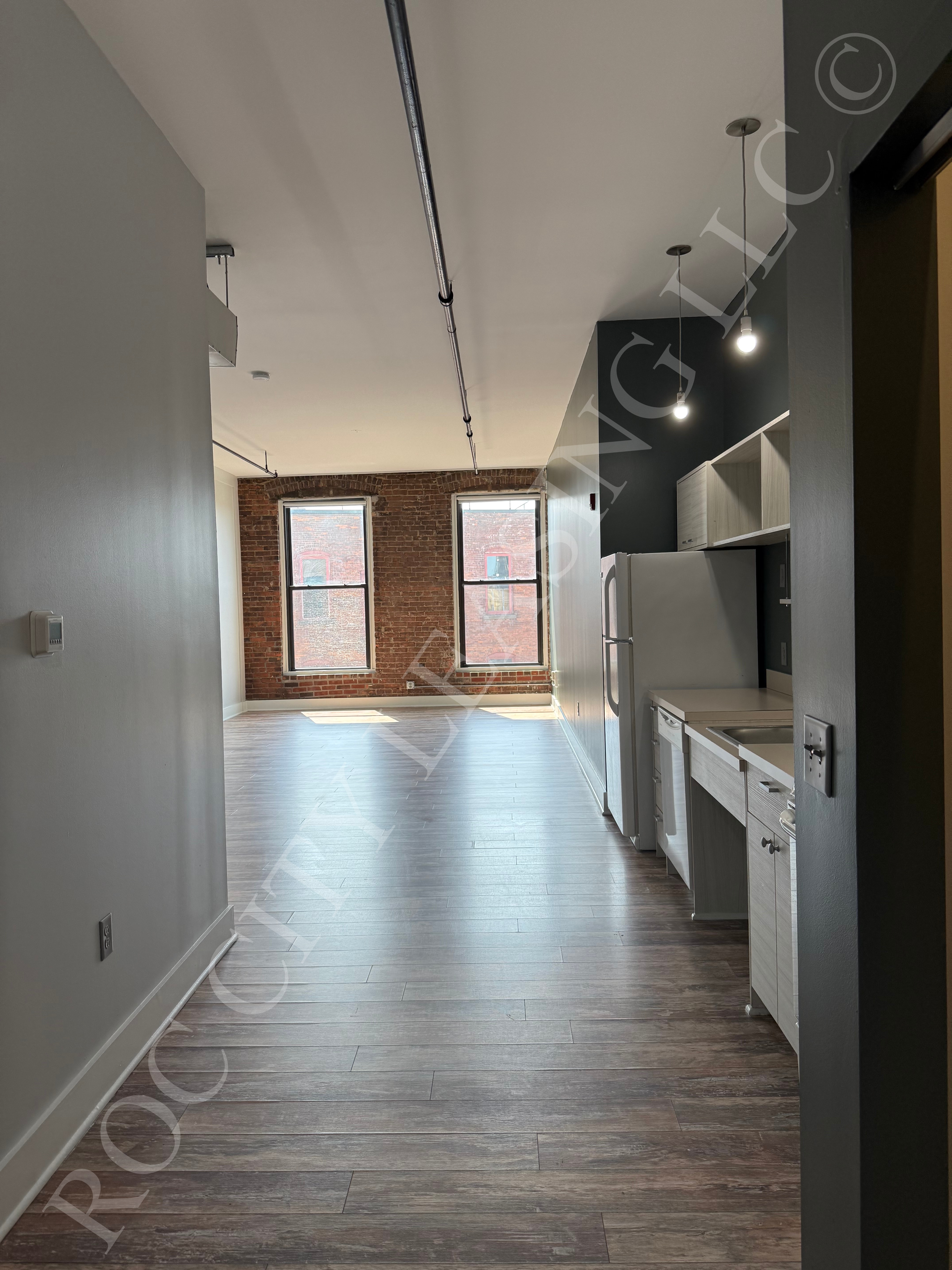 Rochester Apartment: 155 Saint Paul St