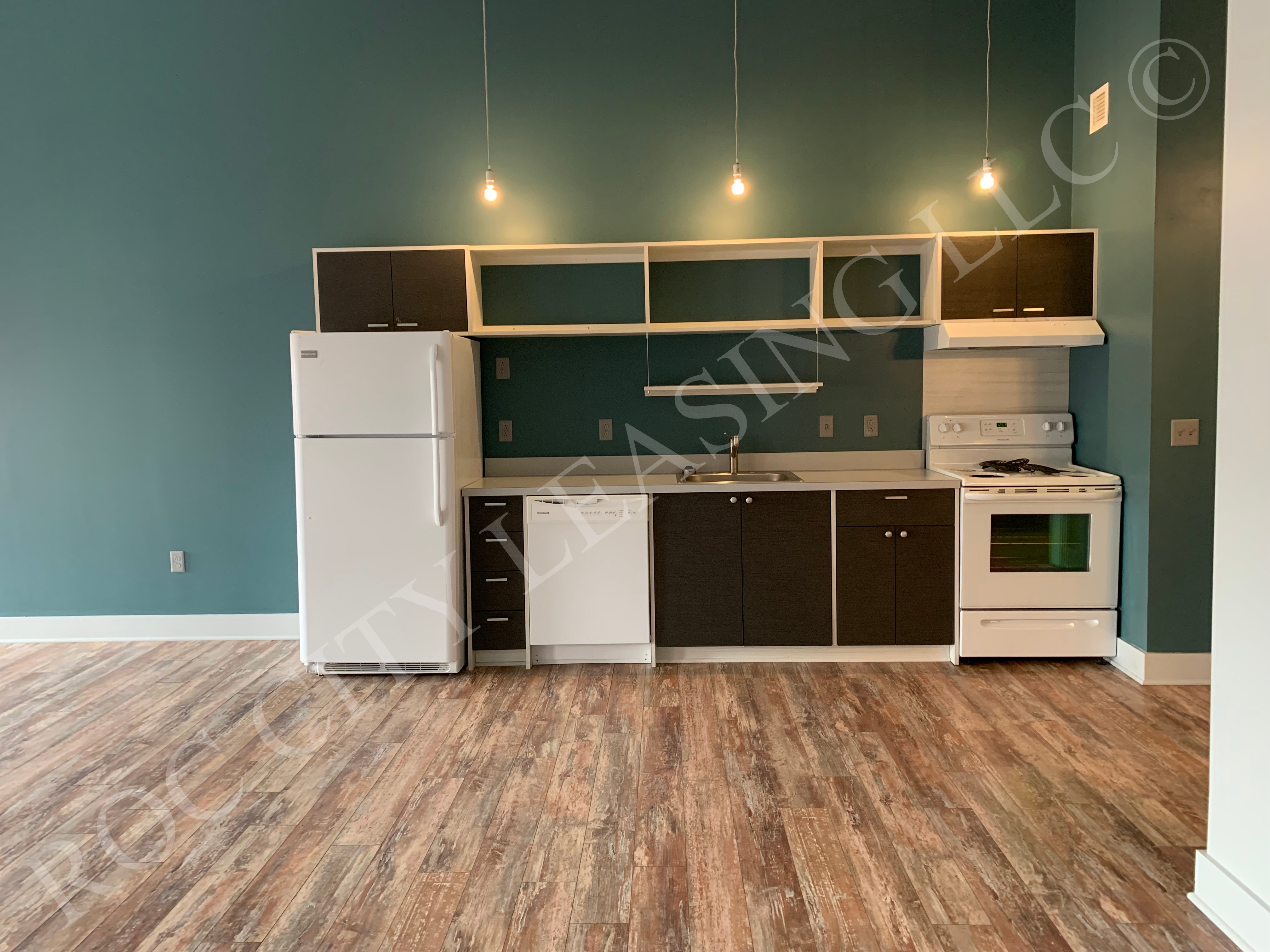 Rochester Apartment: 155 Saint Paul St