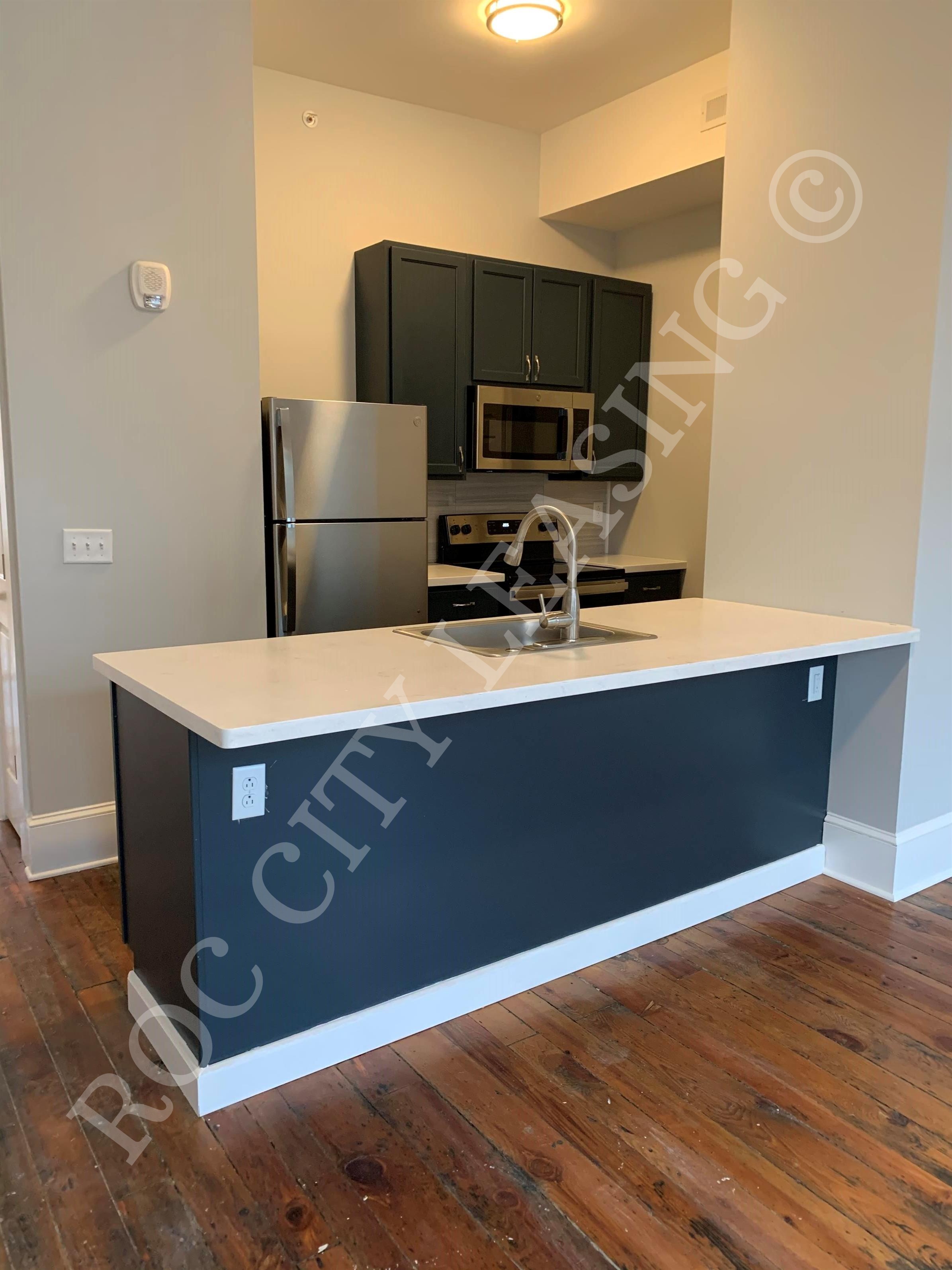 Rochester Apartment: 155 State St