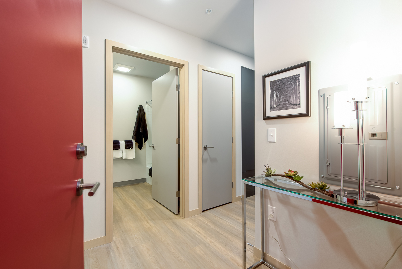 Seattle Apartment: 200 Belmont Ave E