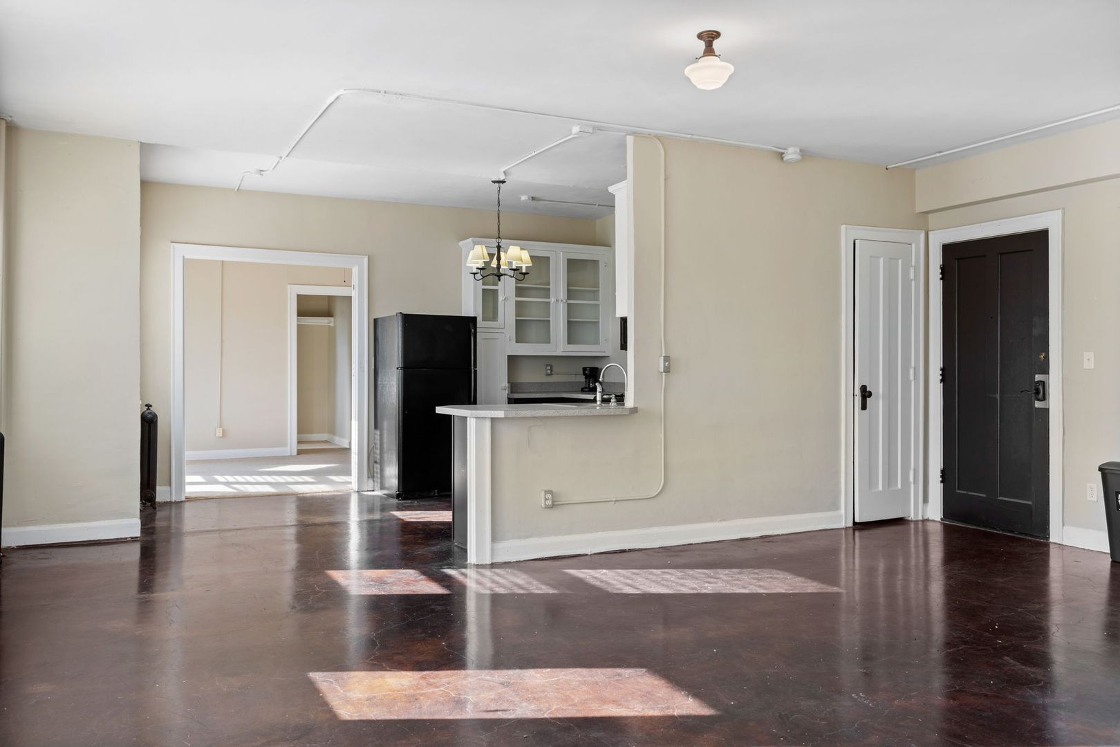 Indianapolis Condo: 111 East 16th St.