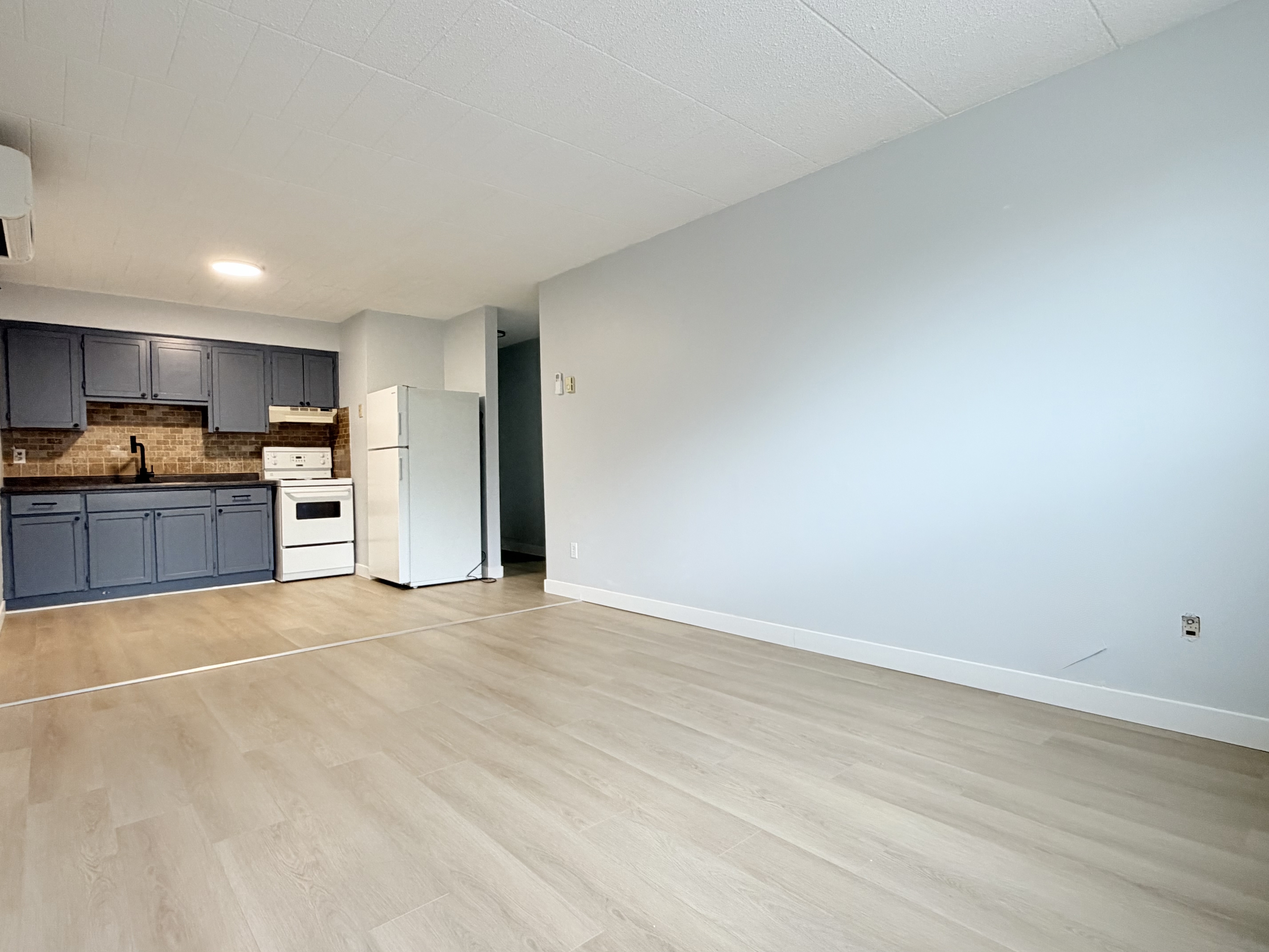 Windsor Condo: 360 Tecumseh Rd W