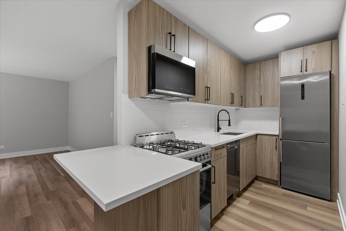 Chicago Condo: 541 West Oakdale Avenue