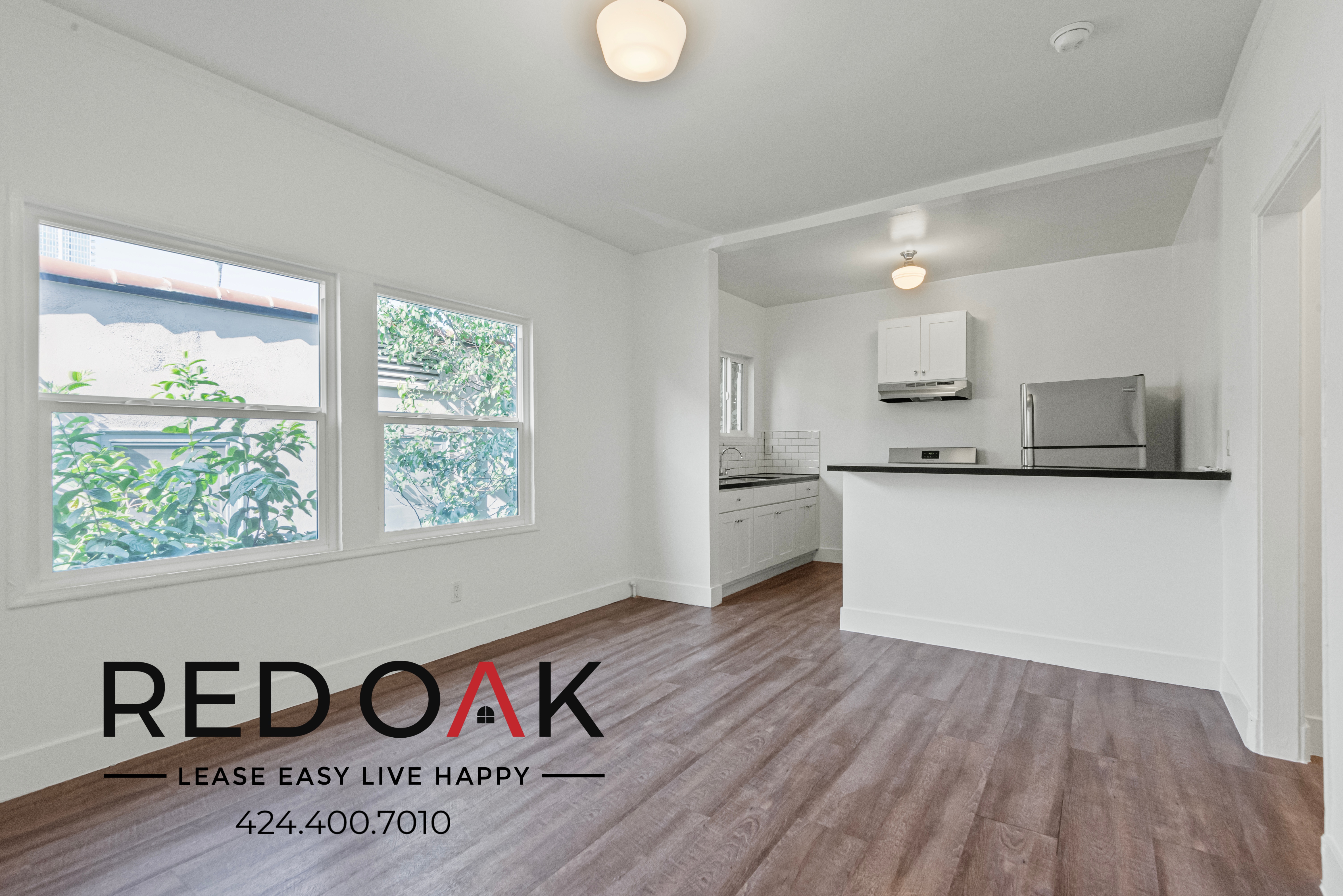 Los Angeles Condo: 859 New Hampshire