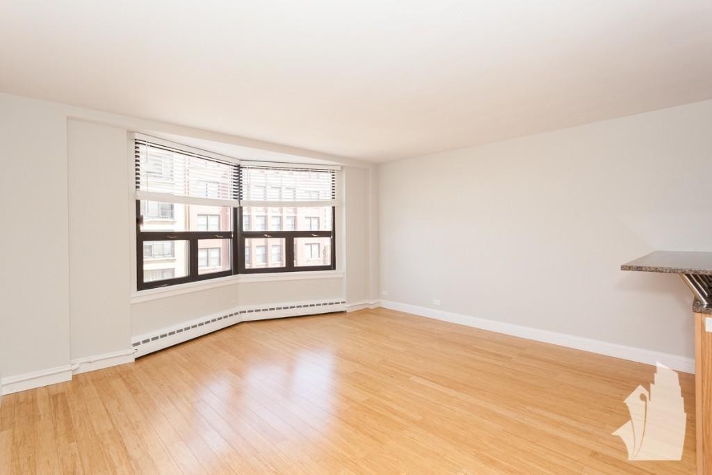 Chicago Condo: 445 West Wellington