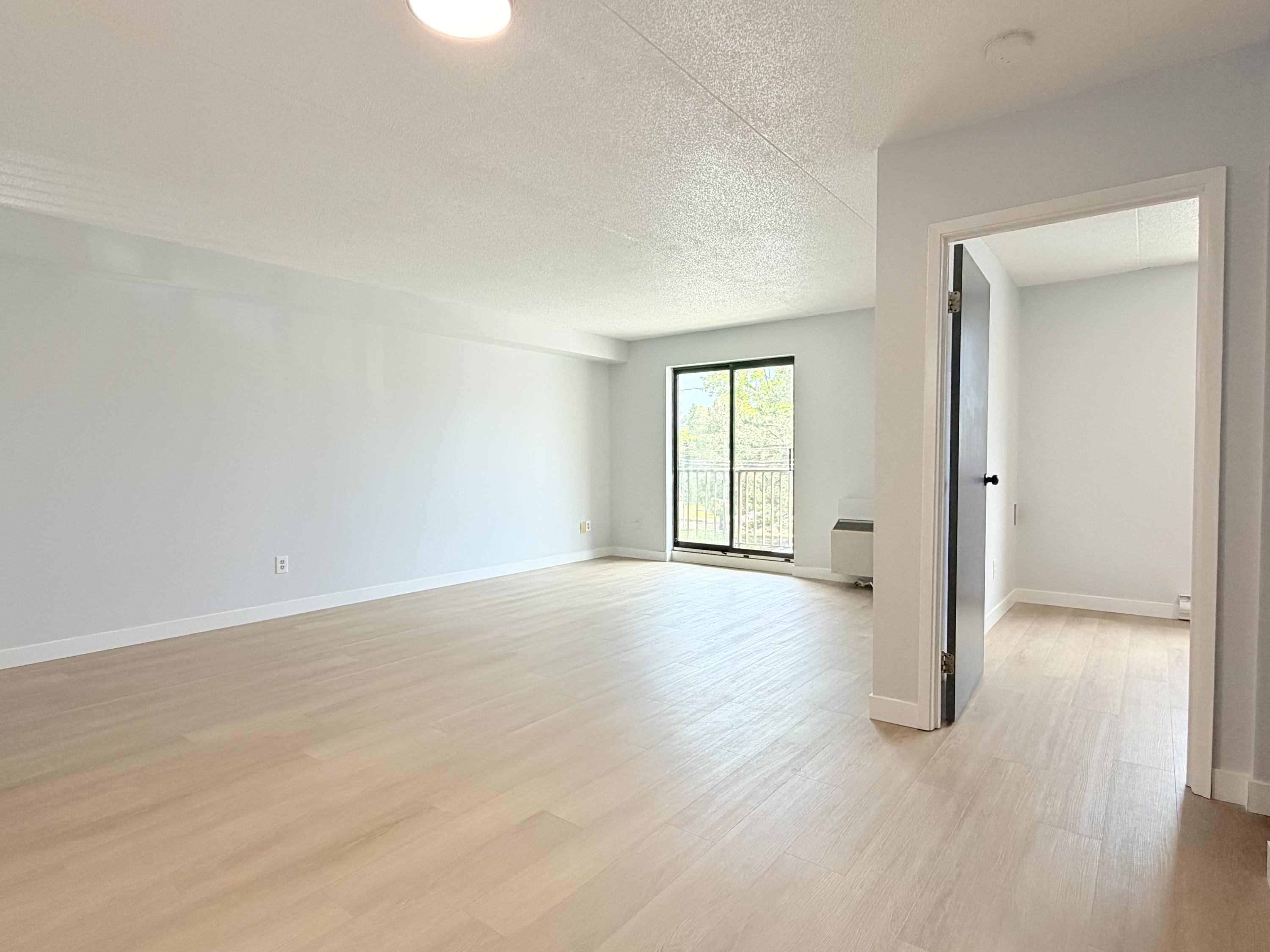 Windsor Condo: 2940 Elsmere Ave