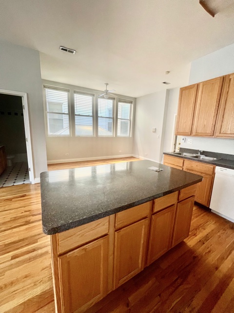 Chicago Condo: 1459 North Milwaukee