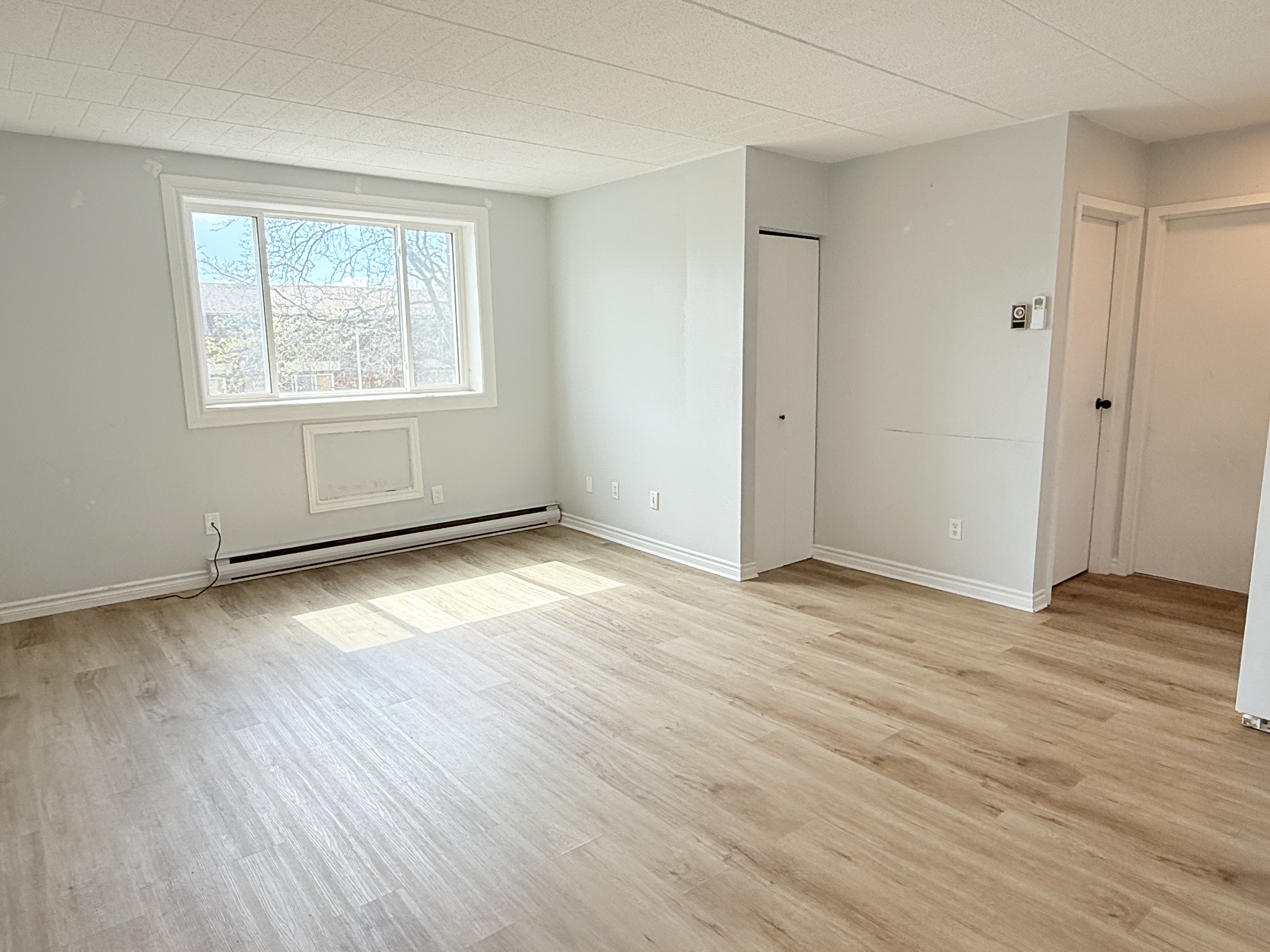 Windsor Condo: 360 Tecumseh Rd W