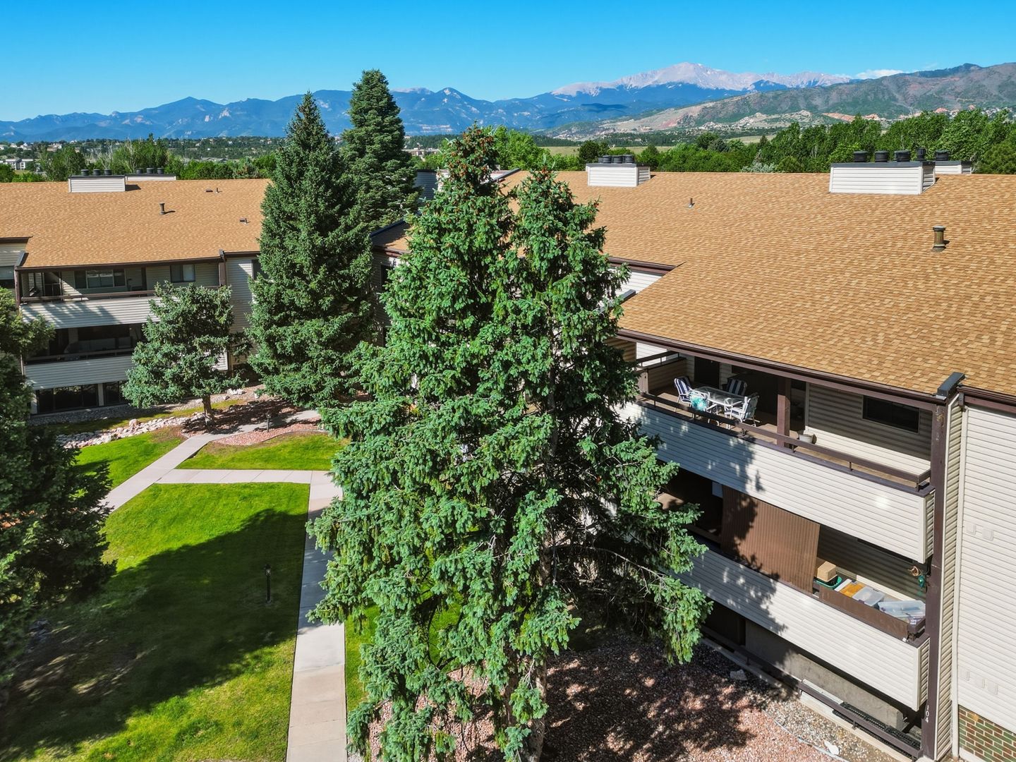 Colorado Springs House: 6550 Delmonico Dr - 6550 Delmonico Dr