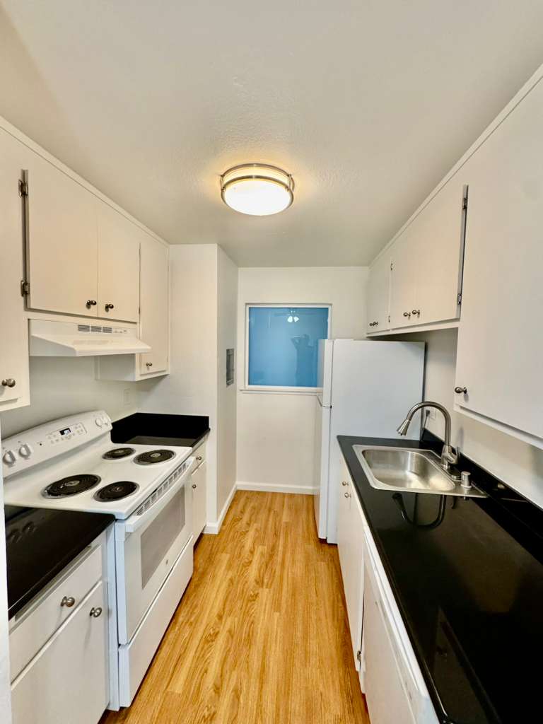 Novato Condo: 481  Ignacio Blvd