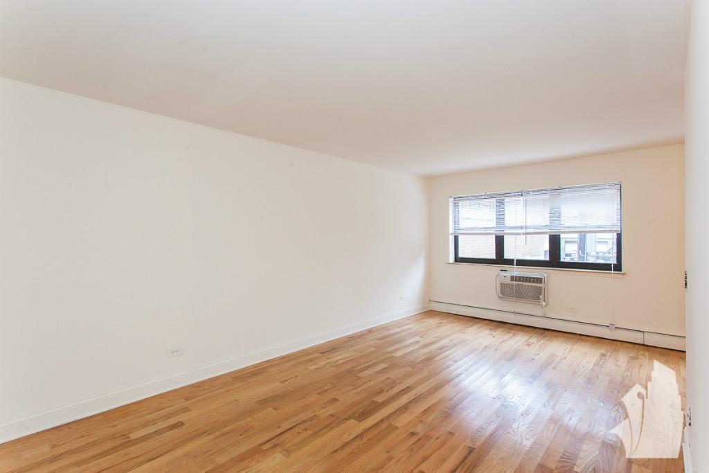Chicago Condo: 510 West Briar Place