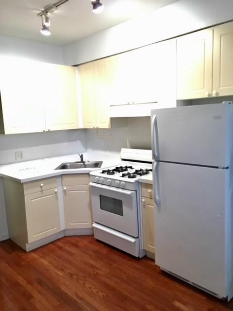 Chicago Condo: 917 West Dakin