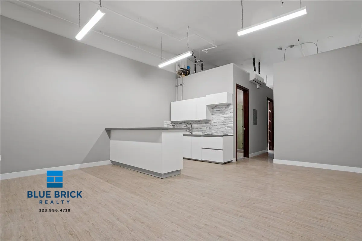 Los Angeles Condo: 3751 S Hill St
