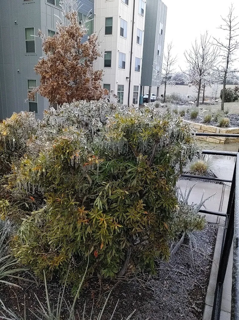 Austin Condo: 11704 N Lamar Blvd